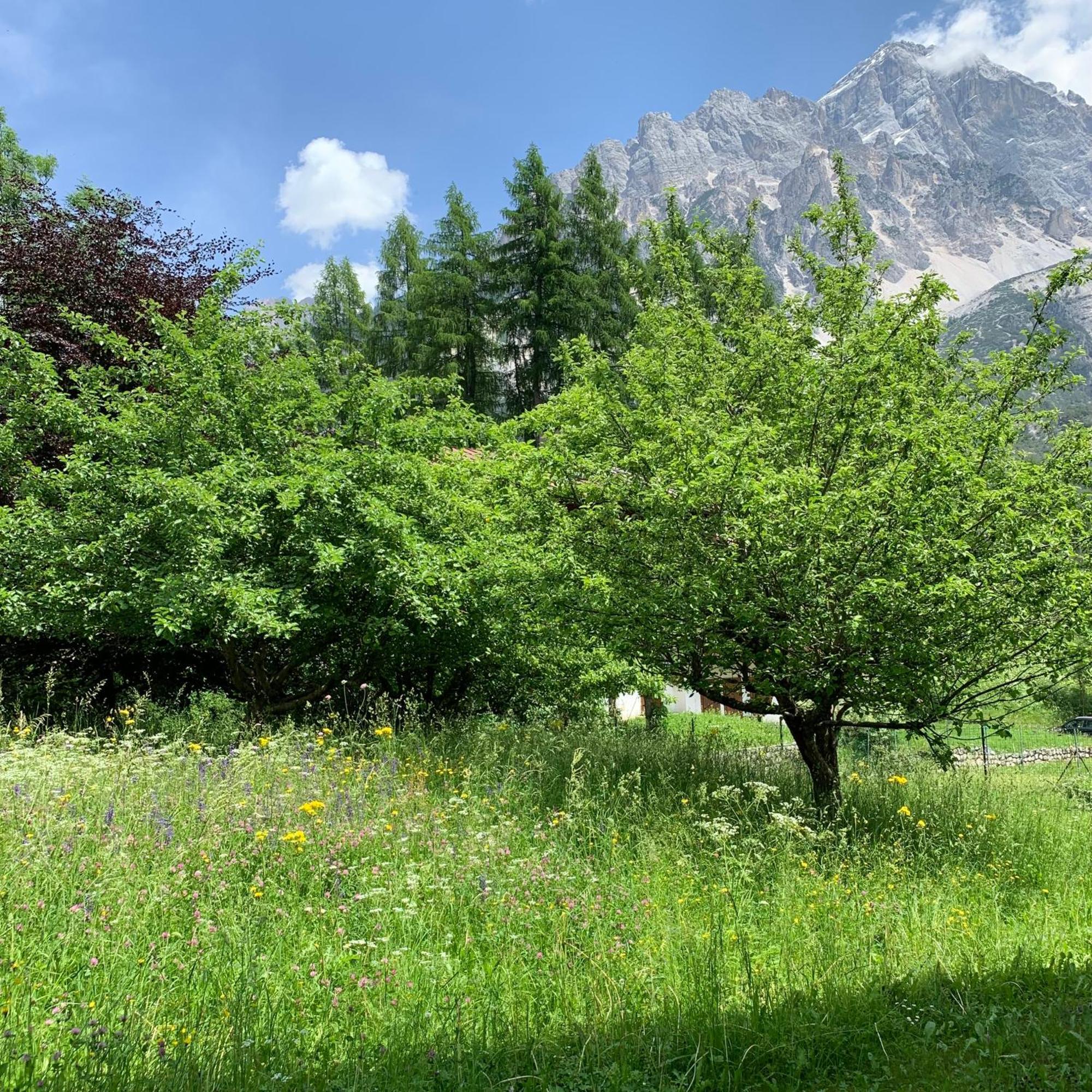 شقة Piccolo Gioiello Di Montagna Villanova  المظهر الخارجي الصورة